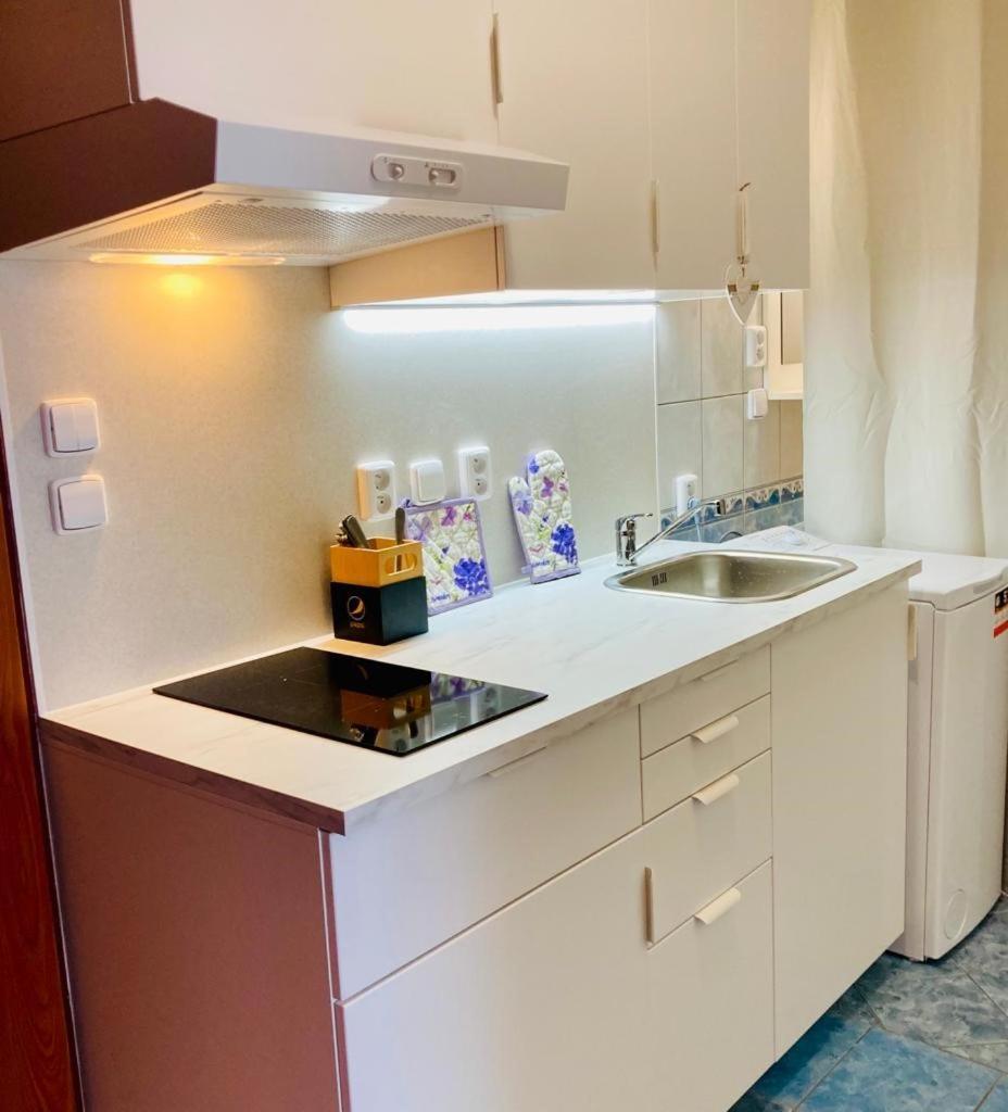 Apartmany, Penzion, Wellness U Zlate Rybky Vyškov Екстериор снимка