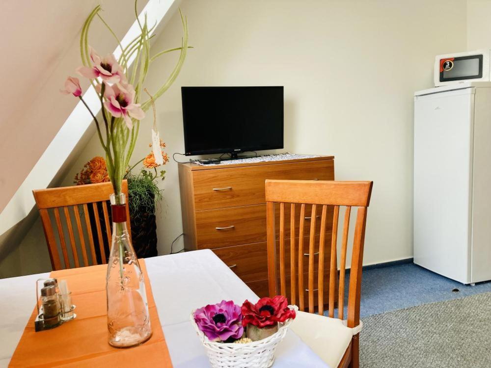 Apartmany, Penzion, Wellness U Zlate Rybky Vyškov Екстериор снимка