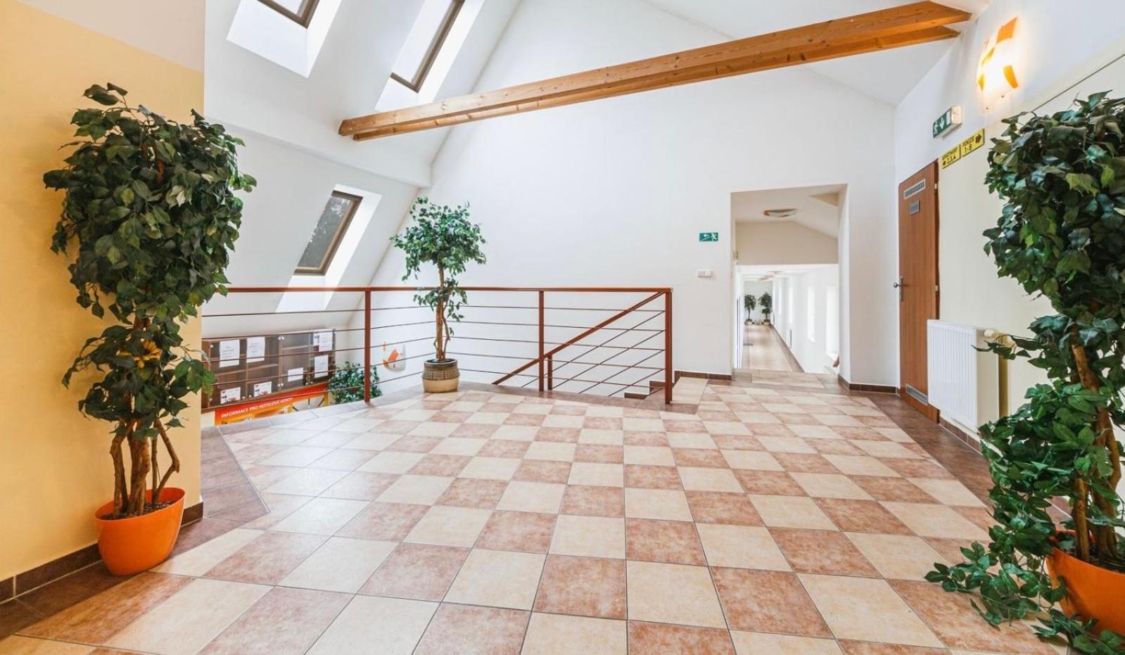 Apartmany, Penzion, Wellness U Zlate Rybky Vyškov Екстериор снимка